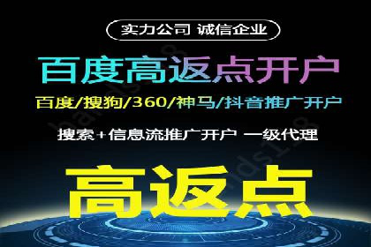 SEM托管公司案例：优化与增长